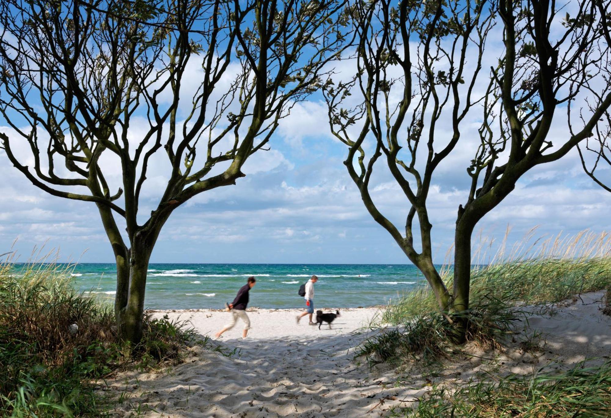 Residenz Am Yachthafen Strandaster Kirchdorf (Poel) Exterior foto