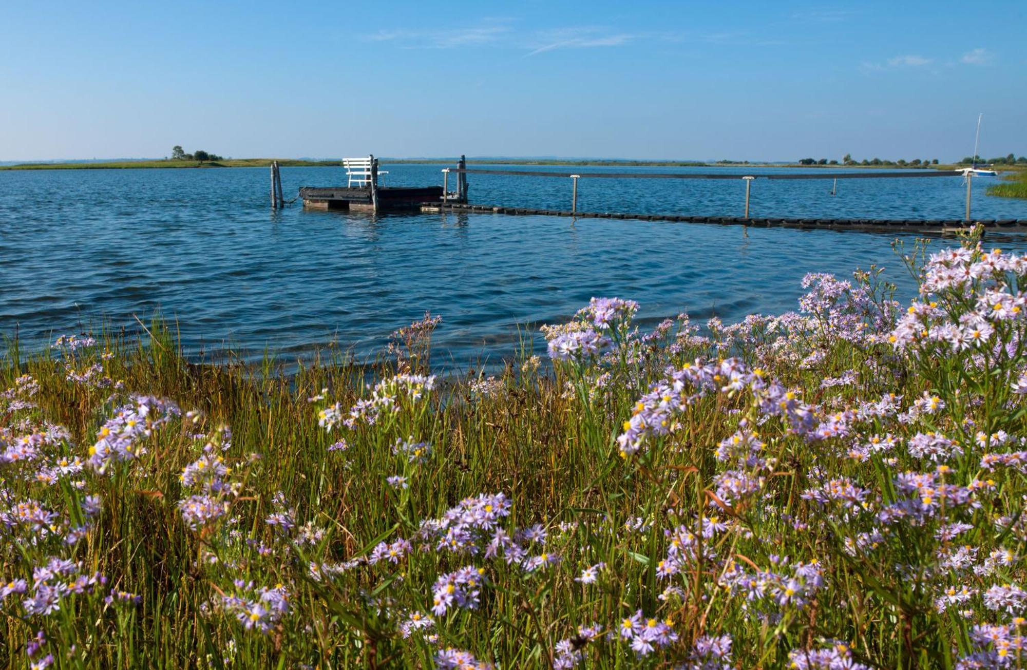 Residenz Am Yachthafen Strandaster Kirchdorf (Poel) Exterior foto